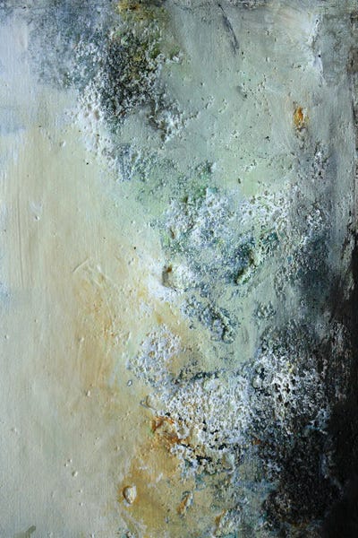 The Calm by Deb Chaney framed canvas print