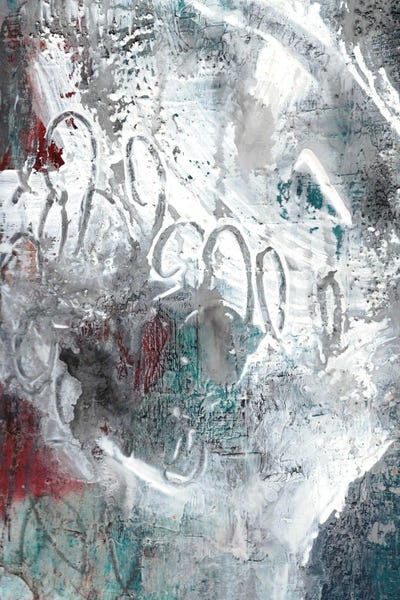 AFX V by Deb Chaney canvas print