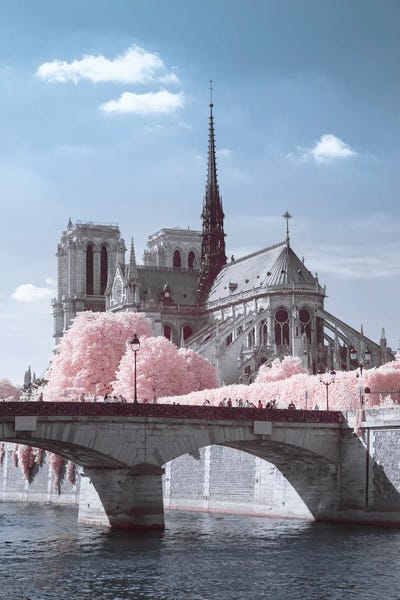 Notre Dame Cathedral: Notre Dame Infrared by David Clapp