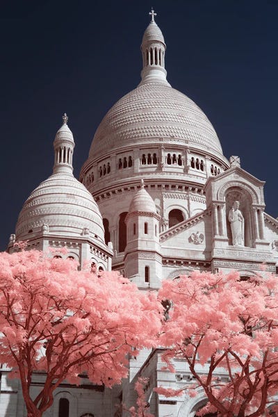 Blossoms: Sacre Coeur Infrared II by David Clapp