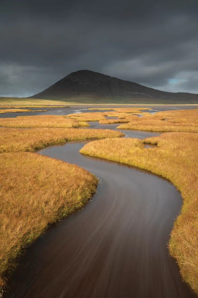 Marshes & Swamps: Harris Curve II by David Clapp