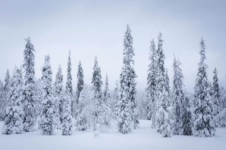 Finland Riisitunturi I