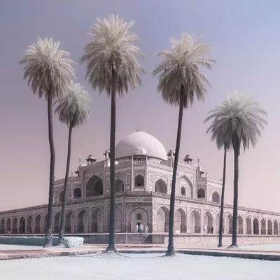 India Delhi Humayun's Tomb II by David Clapp canvas print