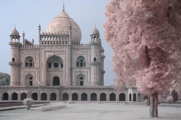 Cherry Blossoms: India Delhi Safdarjung's Tomb I by David Clapp