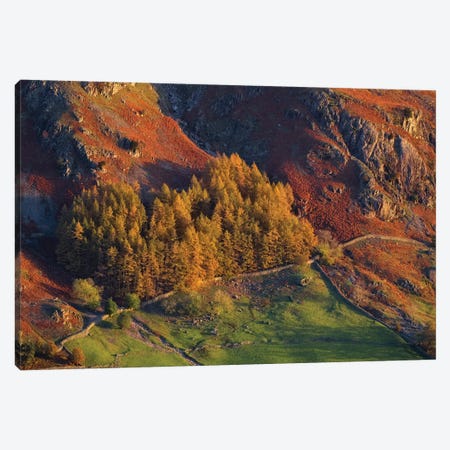Lakes Langdale I Canvas Print #DCL46} by David Clapp Canvas Wall Art