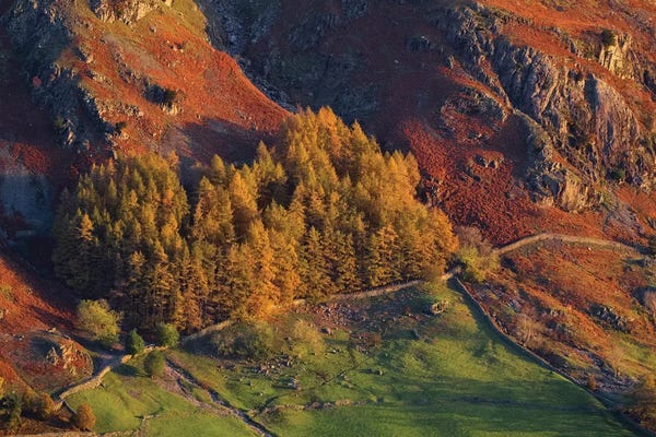 David Clapp: Lakes Langdale I by David Clapp