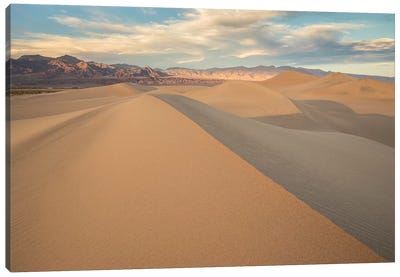 Mesquite Dunes I Canvas Art Print - Desert Art