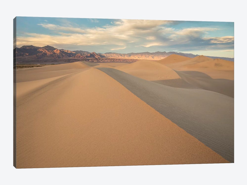 Mesquite Dunes I by David Clapp 1-piece Canvas Print