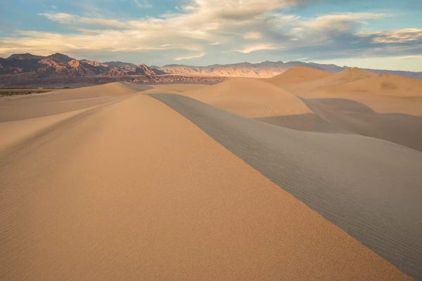 David Clapp: Mesquite Dunes I by David Clapp