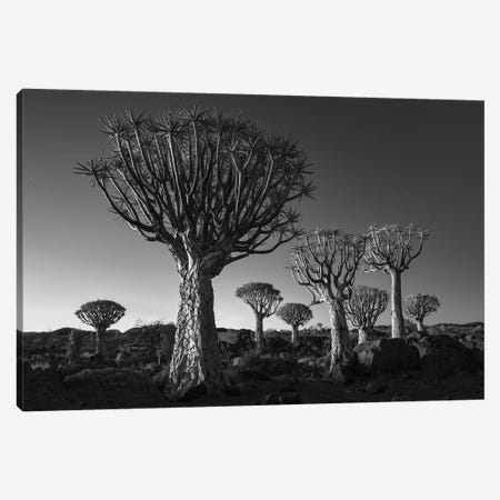 Namibia Keetmanshoop XII Canvas Print #DCL57} by David Clapp Canvas Print