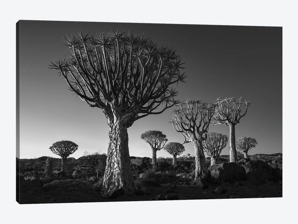 Namibia Keetmanshoop XII by David Clapp 1-piece Canvas Print