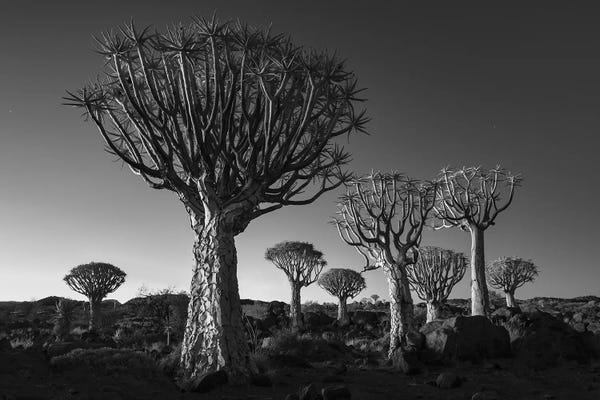 African Heritage: Namibia Keetmanshoop XII by David Clapp