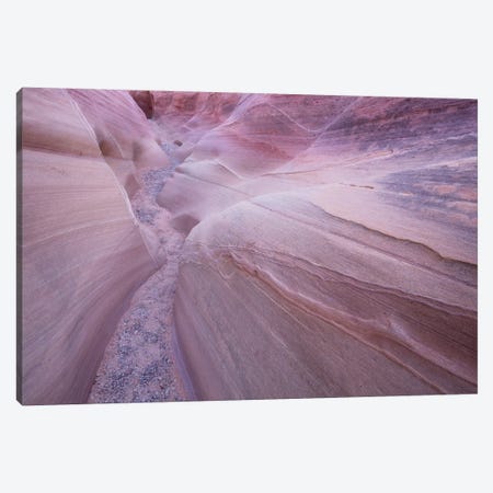 Nevada Valley Of Fire VII Canvas Print #DCL60} by David Clapp Art Print