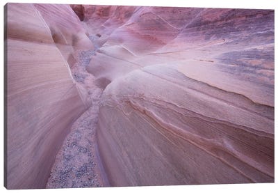 Nevada Valley Of Fire VII Canvas Art Print - David Clapp Photography Limited