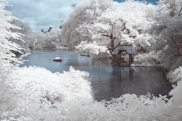 Central Park: New York Central Park IV by David Clapp