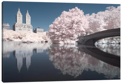 New York Central Park V Canvas Art Print - David Clapp Photography Limited