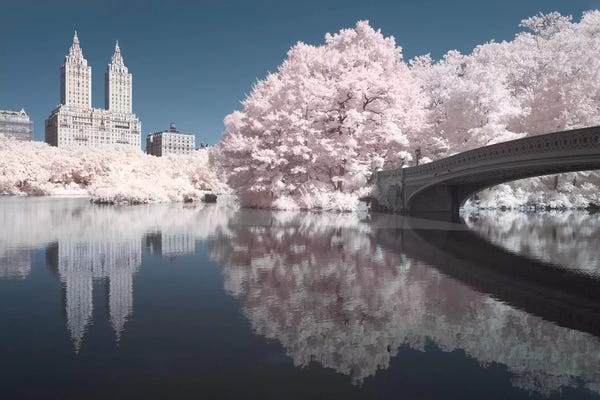 Central Park: New York Central Park V by David Clapp