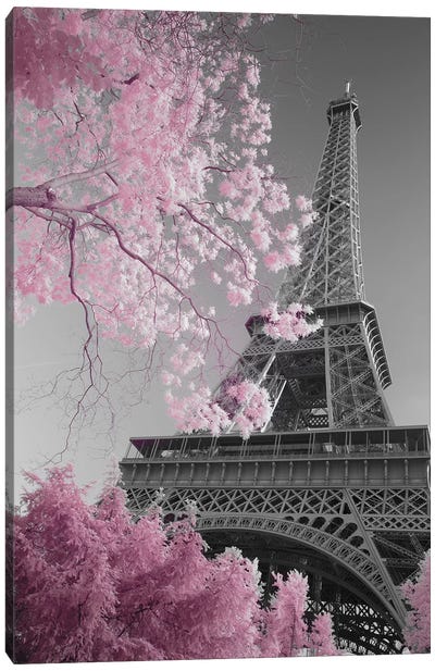 Paris Eiffel Tower XIII Canvas Art Print - Flower Art