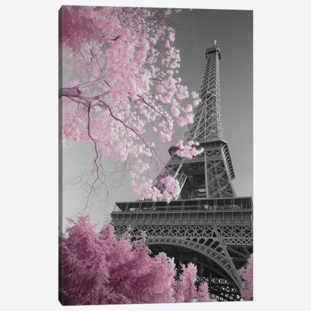 Paris Eiffel Tower XIII Canvas Print #DCL71} by David Clapp Canvas Artwork