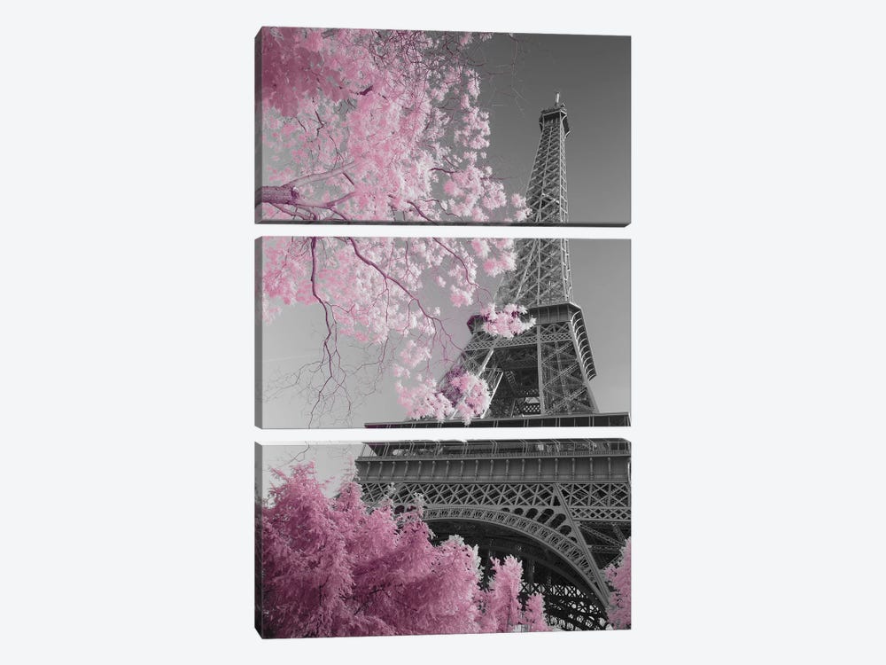 Paris Eiffel Tower XIII by David Clapp 3-piece Canvas Print