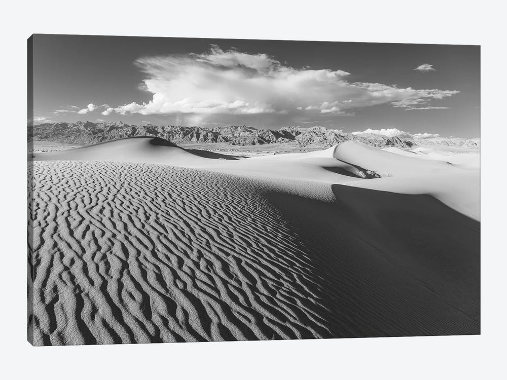 Stovepipe Wells V by David Clapp 1-piece Canvas Print