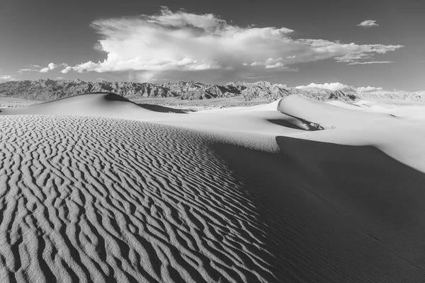 David Clapp: Stovepipe Wells V by David Clapp