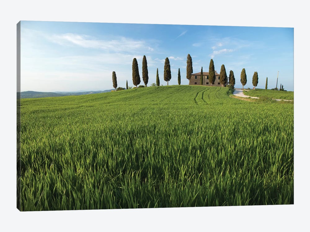 Tuscany Pienza I by David Clapp 1-piece Canvas Print