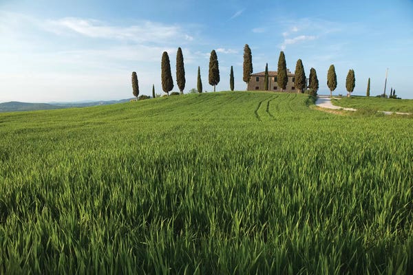 Hillsides: Tuscany Pienza I by David Clapp