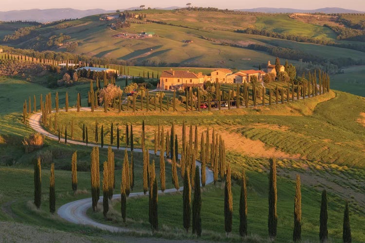 Tuscany Val d'Asso I