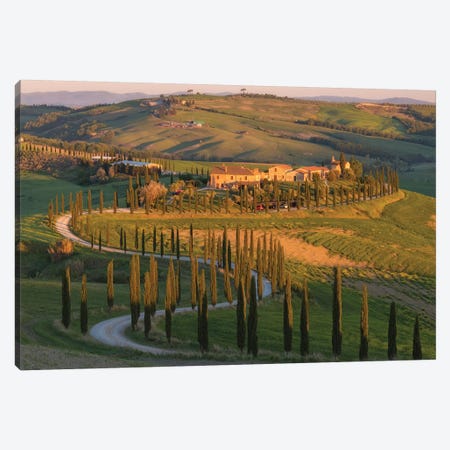 Tuscany Val d'Asso I Canvas Print #DCL87} by David Clapp Canvas Artwork