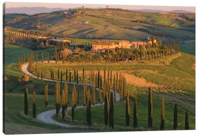 Tuscany Val d'Asso I Canvas Art Print - Hill & Hillside Art