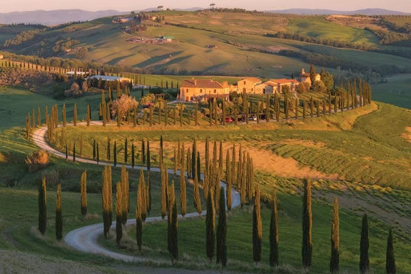 Photography: Tuscany Val d'Asso I by David Clapp