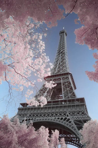 Blossoms: Eiffel Tower Infrared by David Clapp