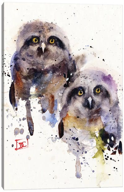 Owlets Canvas Art Print - Owl Art