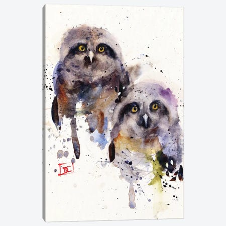 Owlets Canvas Print #DCR106} by Dean Crouser Canvas Print