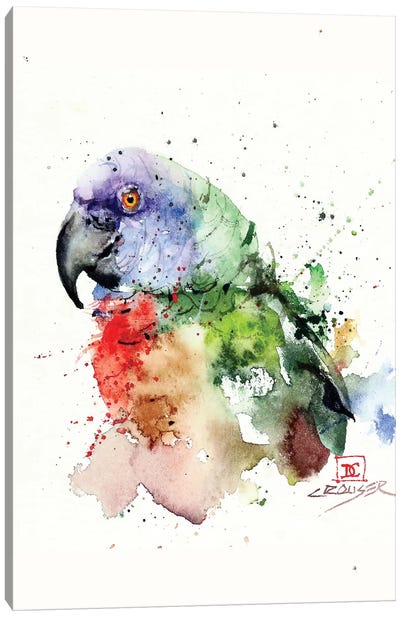 Parrot Canvas Art Print - Dean Crouser
