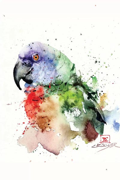 Dean Crouser: Parrot by Dean Crouser