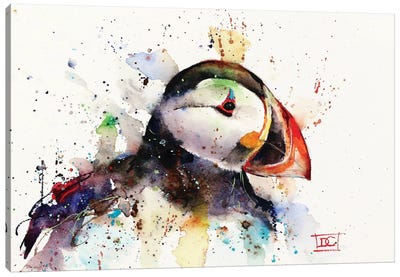 Puffin Canvas Art Print - Penguin Art