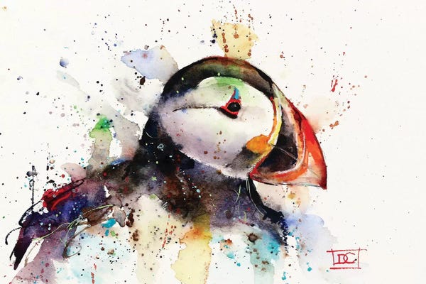 Puffins
