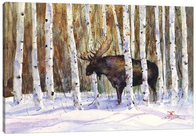 A Moment's Rest Canvas Art Print - Deer Art