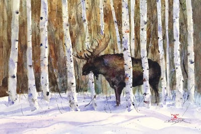 Moose