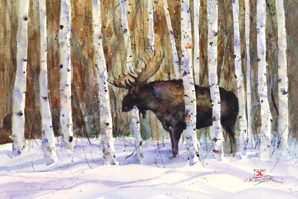 Deer: A Moment's Rest by Dean Crouser