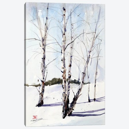 Birch Trees Canvas Print #DCR122} by Dean Crouser Canvas Artwork