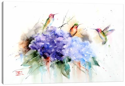 Three Hummingbirds Canvas Art Print - Flower Art