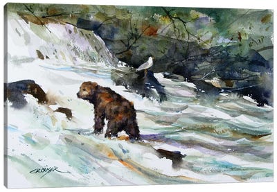 King of the Rapids Canvas Art Print - Brown Bear Art