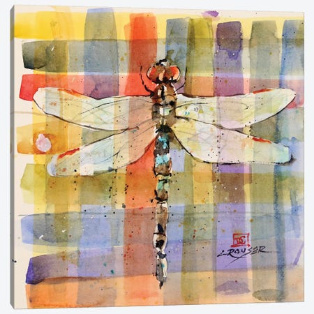 Plaid Dragonfly Canvas Print #DCR137} by Dean Crouser Canvas Wall Art