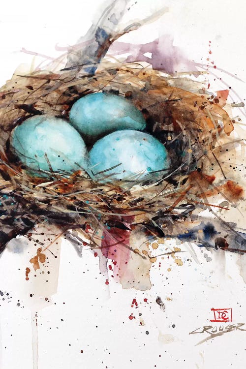 Robins Nest by Dean Crouser wall art