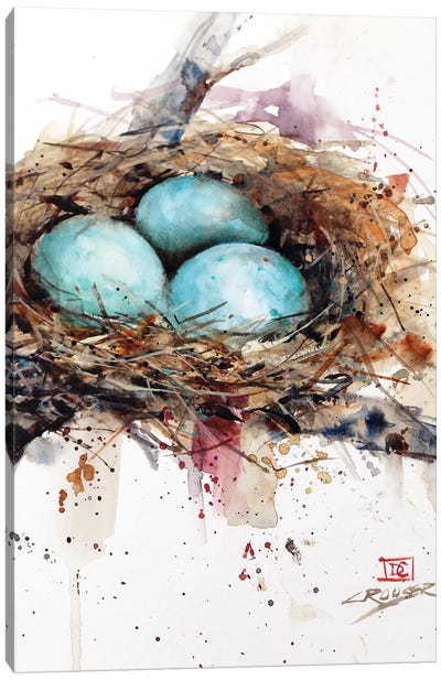 Robins Nest Canvas Art Print - Robin Art