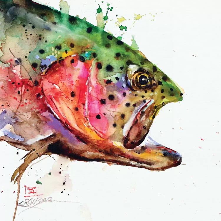 Wild Rainbow by Dean Crouser wall art