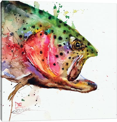 Wild Rainbow Canvas Art Print - Fish Art